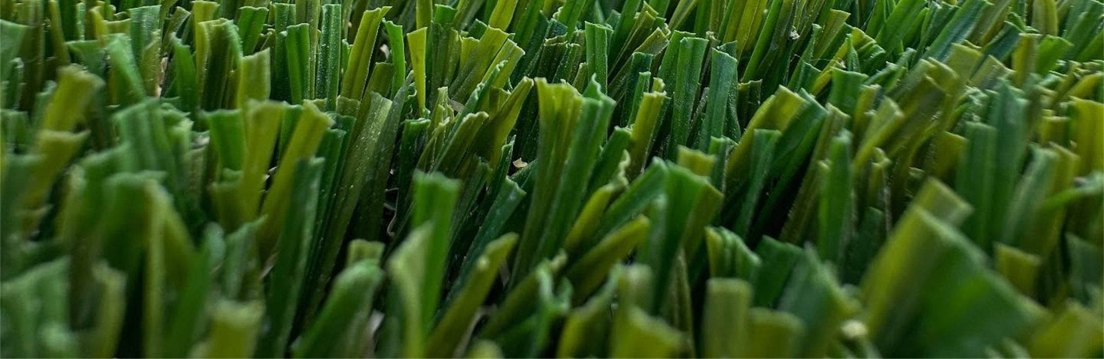 Emerald Ridge Artificial Grass, Yucaipa Artificial Grass & Pavers