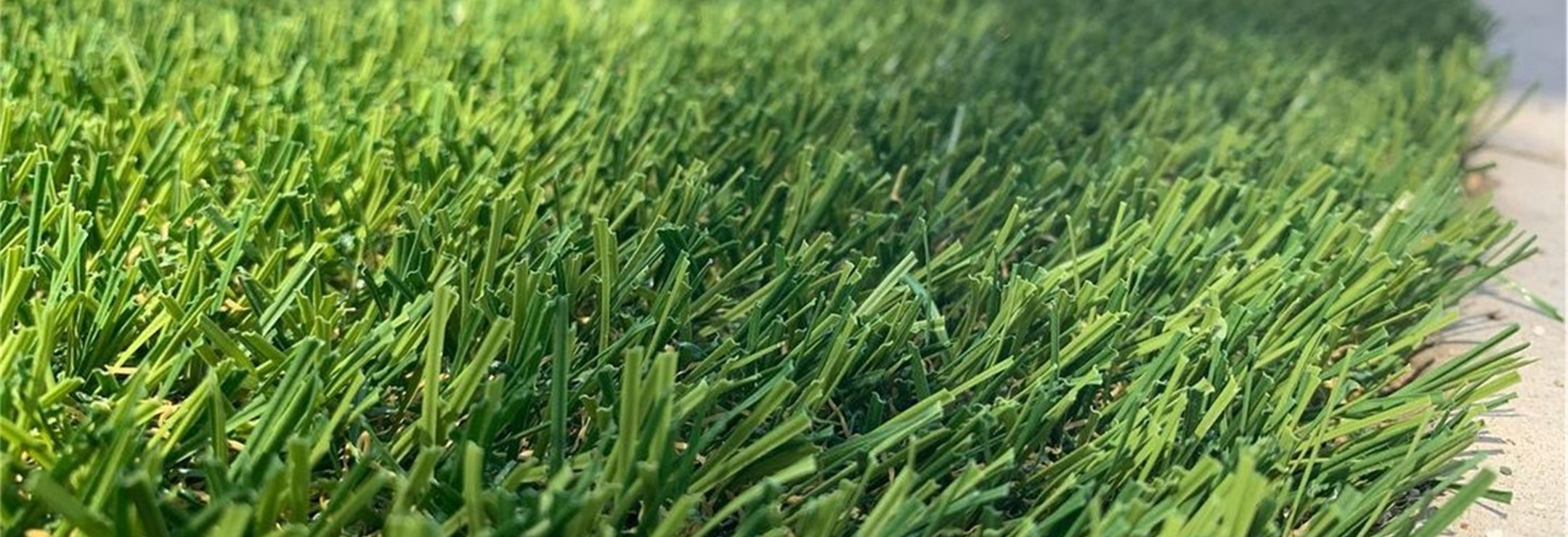 Evergreen Artificial Grass, Yucaipa Artificial Grass & Pavers