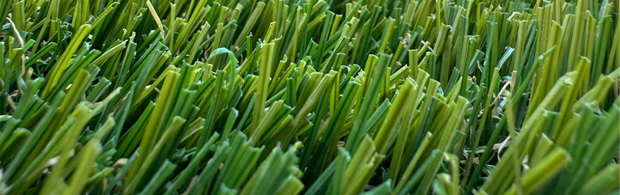 Marathon Series, Yucaipa Artificial Grass & Pavers