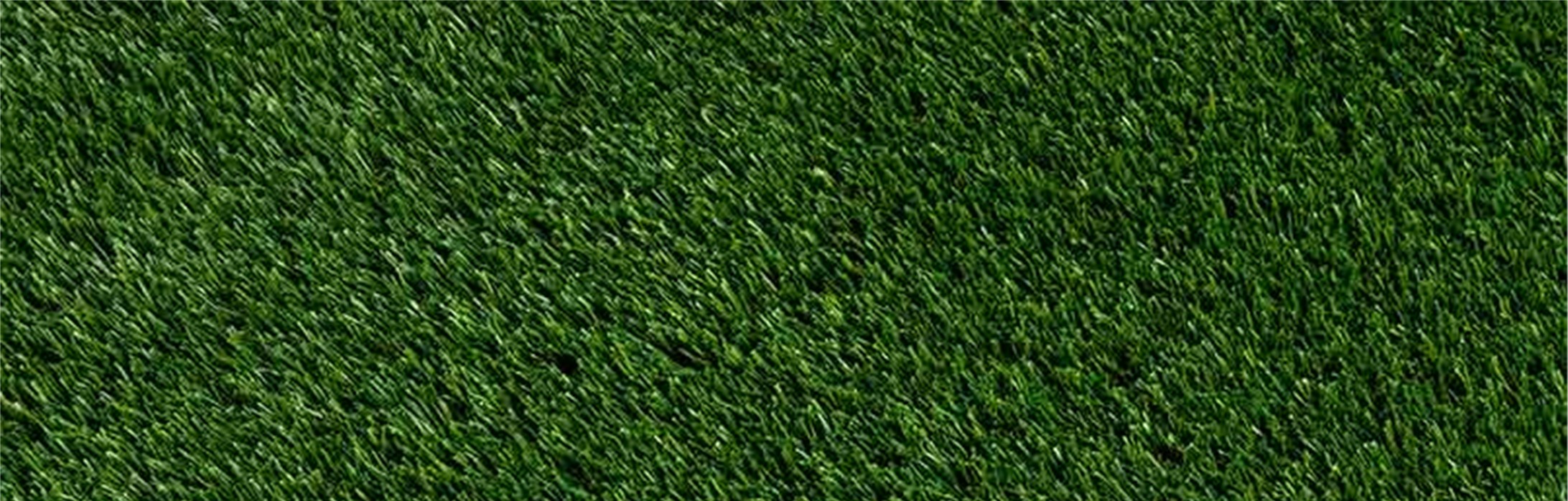 Oakmont Artificial Grass Yucaipa Artificial Grass & Pavers