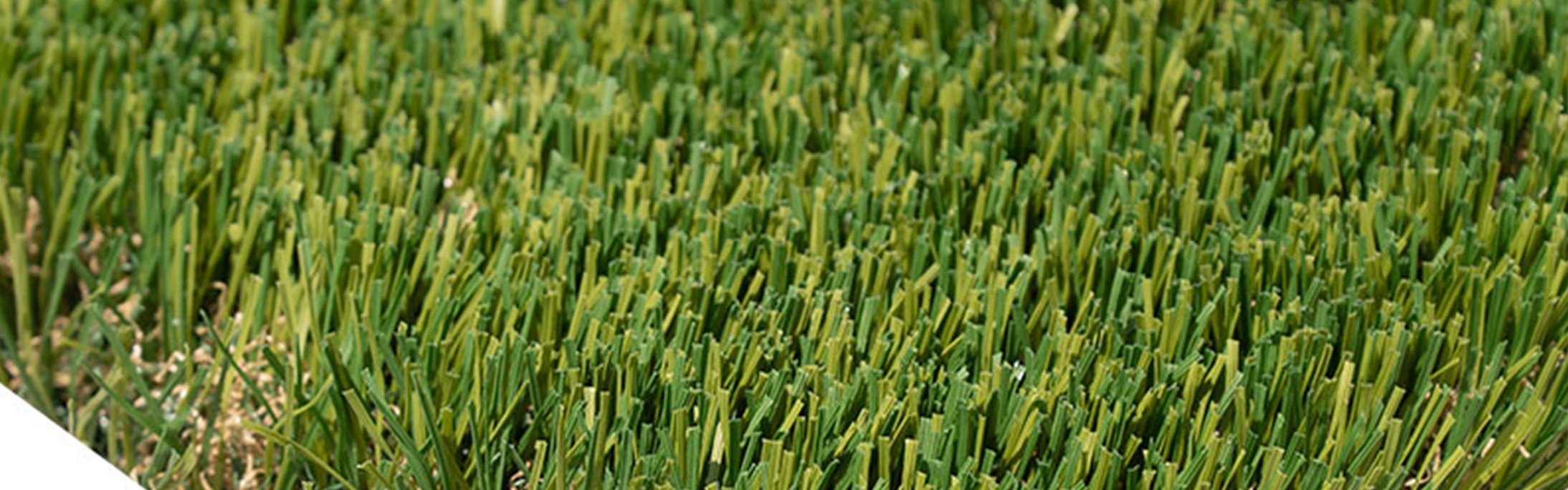 Oakmont Supreme Artificial Grass, Yucaipa Artificial Turf & Pavers