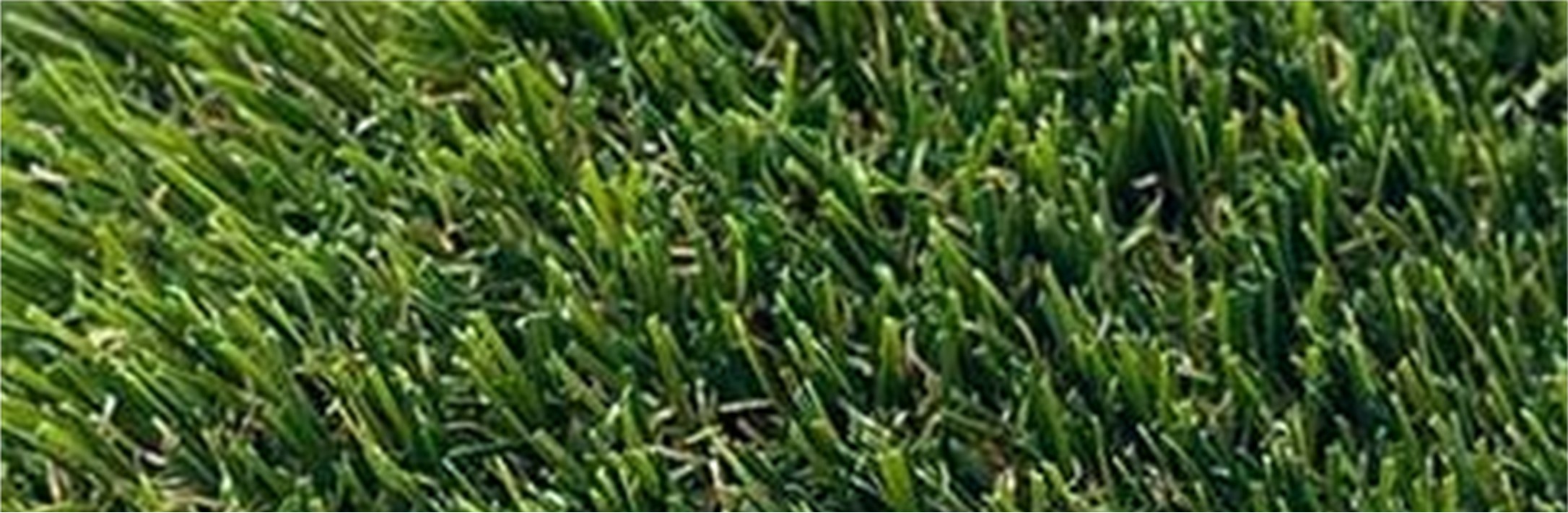 Pine Pro Artificial Grass, Yucaipa Artificial Grass & Pavers
