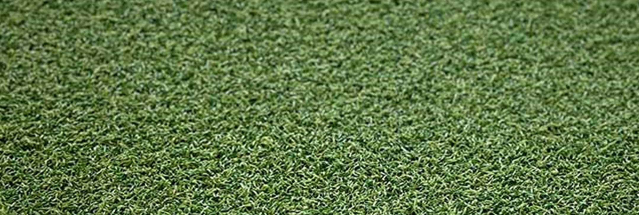 Xtreme Sports/Play Turf, Yucaipa Artificial Grass & Pavers