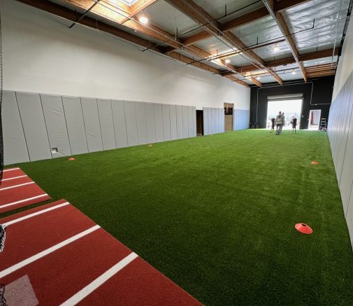 Applications, Creative Landscaping Ideas With Artificial Grass