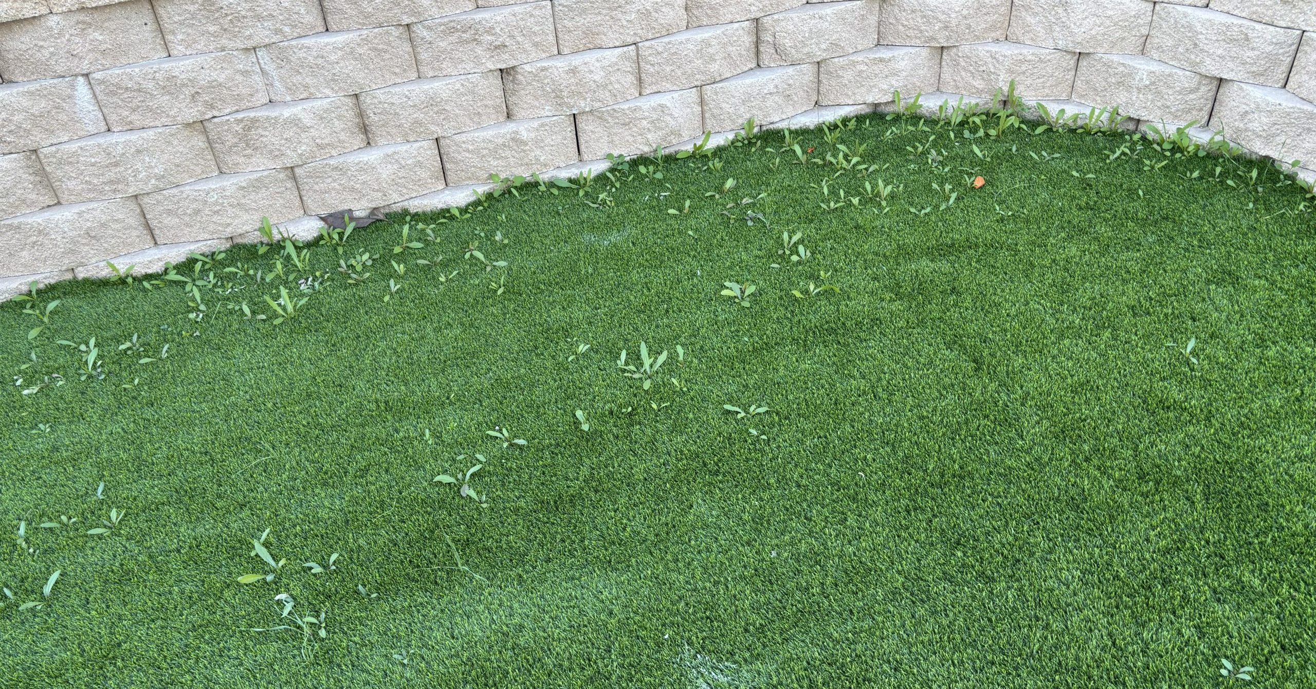 Artificial Grass Cleaning, Yucaipa Artificial Grass & Pavers
