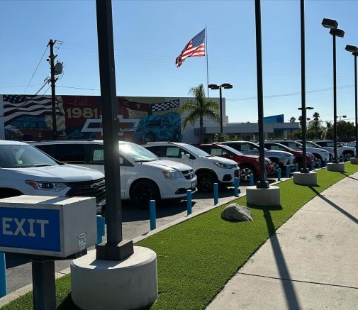 Applications, Creative Landscaping Ideas With Artificial Grass