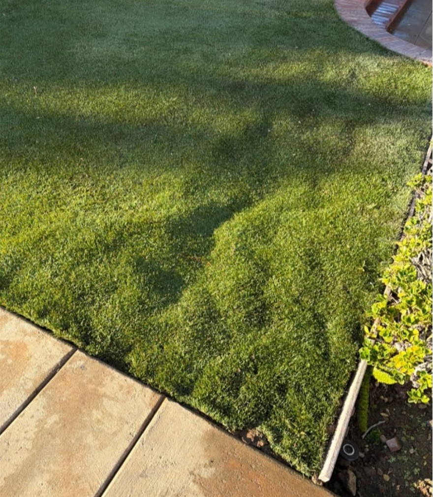Artificial Grass Cleaning, Yucaipa Artificial Grass & Pavers