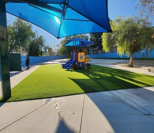 Applications, Creative Landscaping Ideas With Artificial Grass