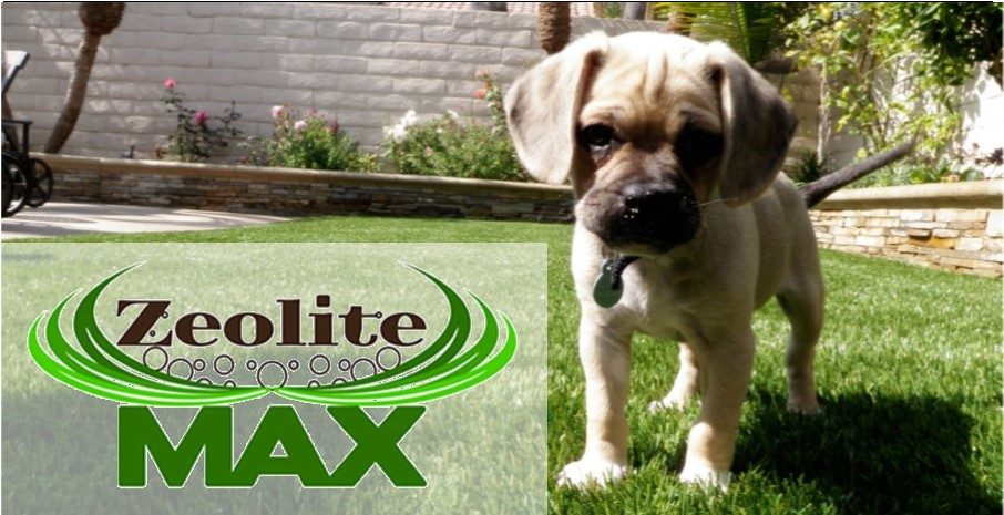 Pet Artificial Grass System, Yucaipa Artificial Grass & Pavers